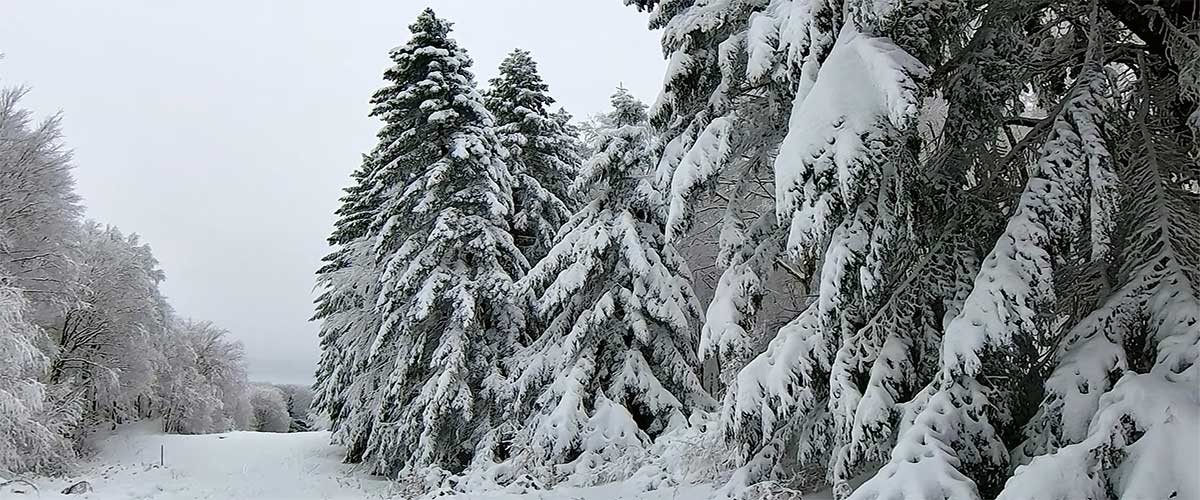 Neve al primo rifugio amiatino